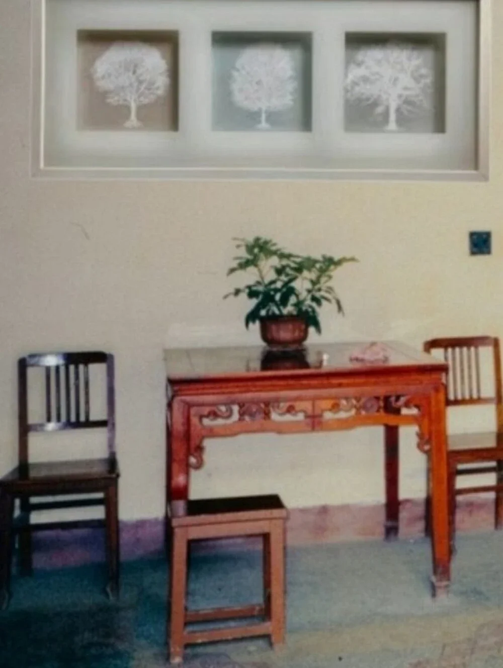 NWOT IKEA Trees Art 3D Shadow Box Wood Framed White Nature  Elegance 28